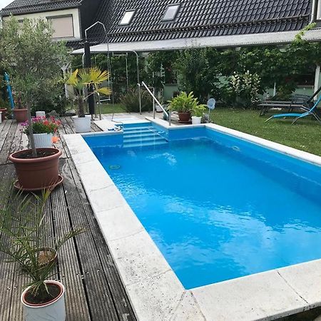 Ferienwohnung Krause Oben Steinthaleben 外观 照片
